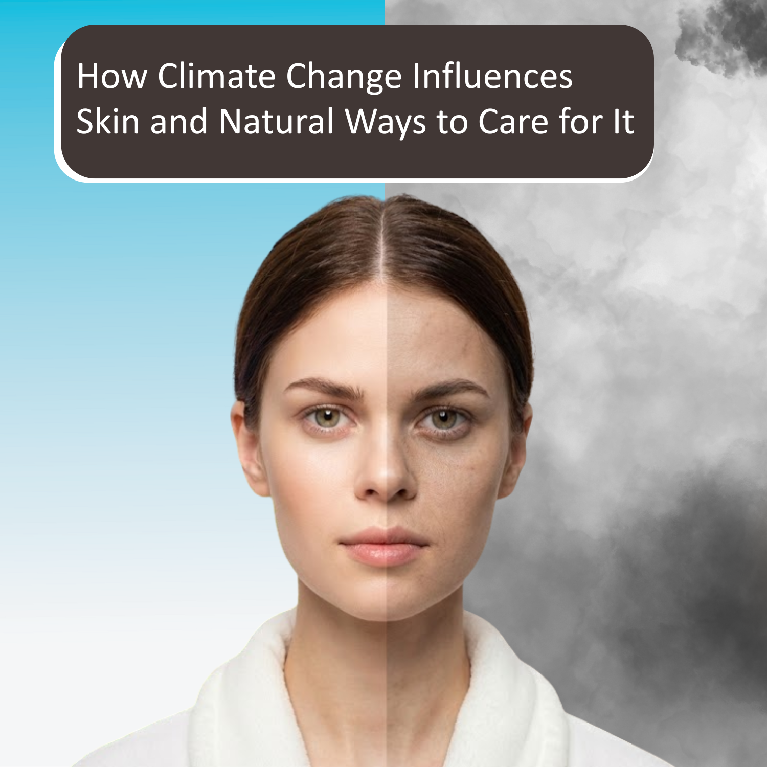 Why Scalp Imbalance Leads to Hair Problems