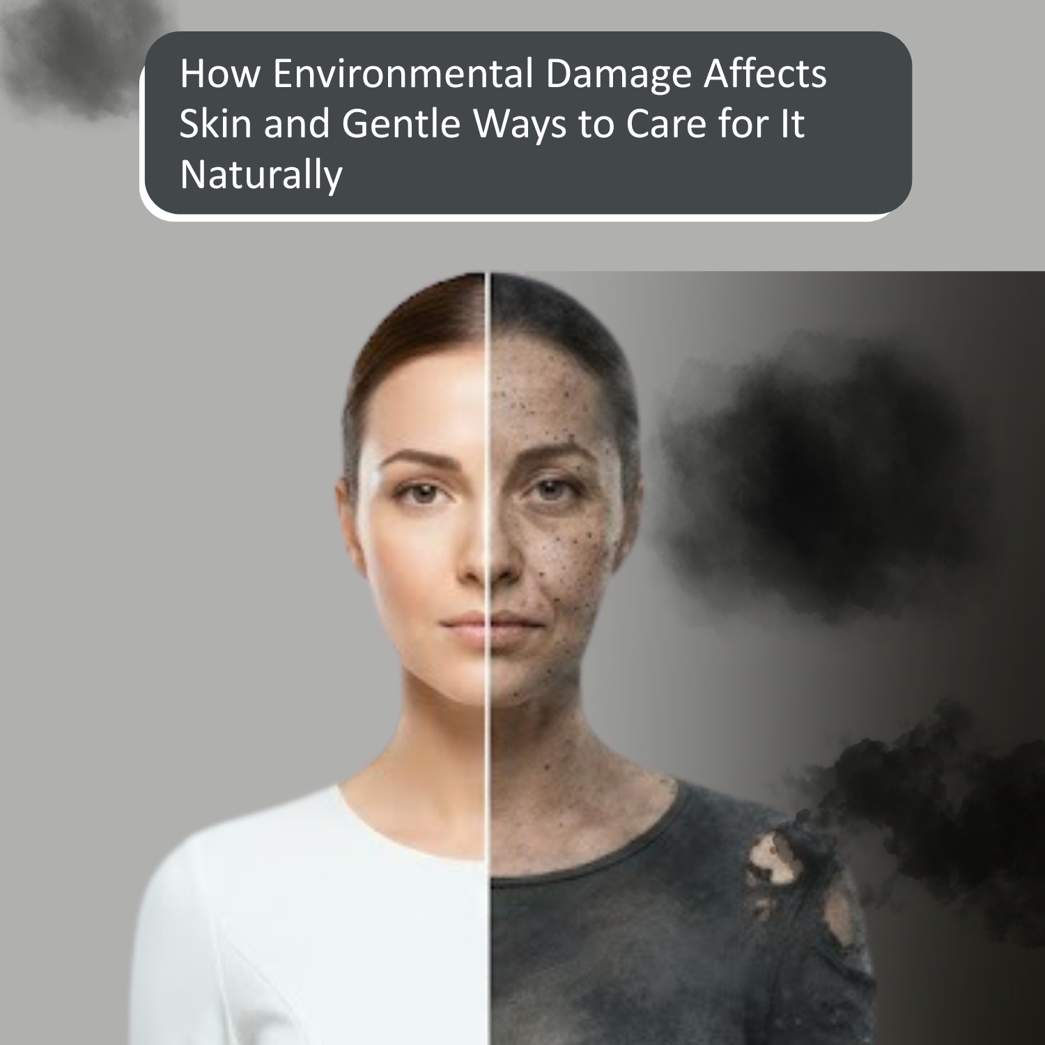 How Environmental Damage Affects Skin and Gentle Ways to Care for It Naturally